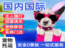 揭阳空运公司国际宠物托运 【国